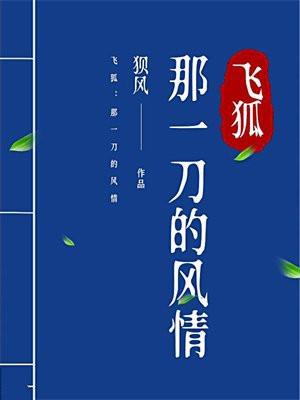 飞狐那一刀的风情