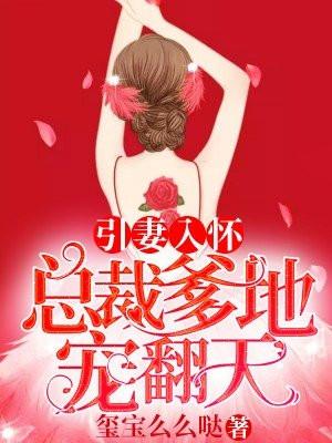 引妻入怀霸道总裁求抱抱
