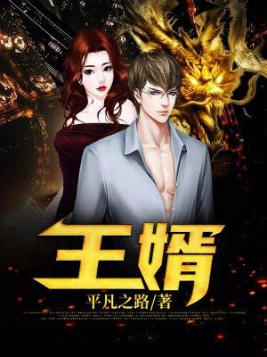 帝师王婿