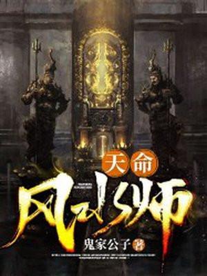 天命风水师叶凡