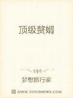 顶级赘婿TXT