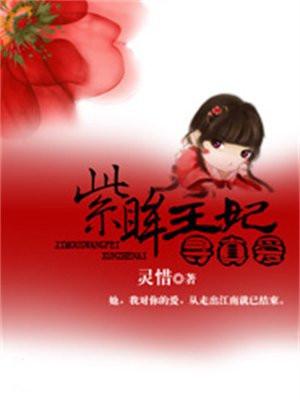 紫眸血妃百科