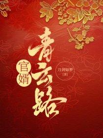 官婿青云路免费阅读全文最新章节