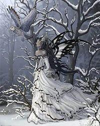 叶晴雪安明浩目录
