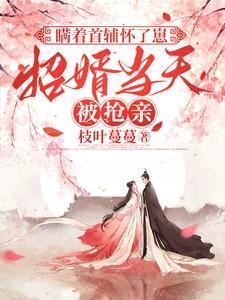 招婿当天被抢亲(完结)崔令宜裴砚声