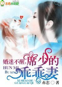昏迷不醒席少的乖乖乖妻