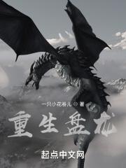 重生盘龙之林风
