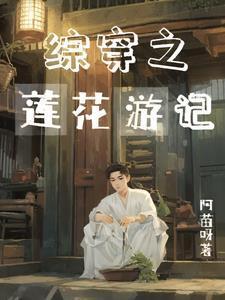 综穿之莲花游记 阿苗呀免费阅读全文