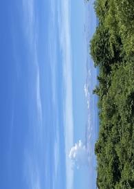 错过的青春83