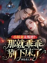 许晚晴封凌夜笔趣阁