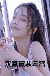 云微沈裴如宁以葵