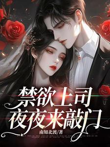 禁欲上司夜夜敲门免费阅读