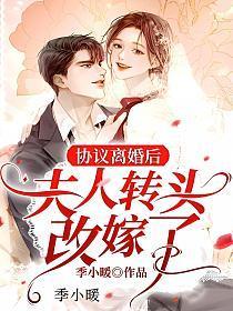 协议离婚后夫人转头改嫁了演员表