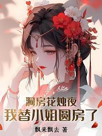 我替小姐圆房了(飘来飘去)
