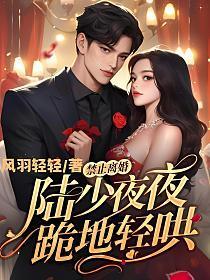 禁止离婚!陆少夜夜跪地轻哄 书旗