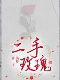二手玫瑰成立时间