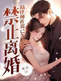 禁止离婚!陆律师蓄谋已久TXT