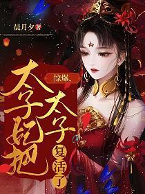 太子妃惊艳天下