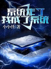 系统炸了我成了系统小小怪