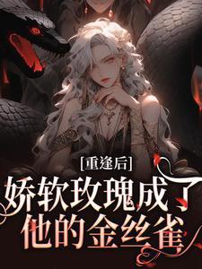 苏沅谢予淮双洁嘛