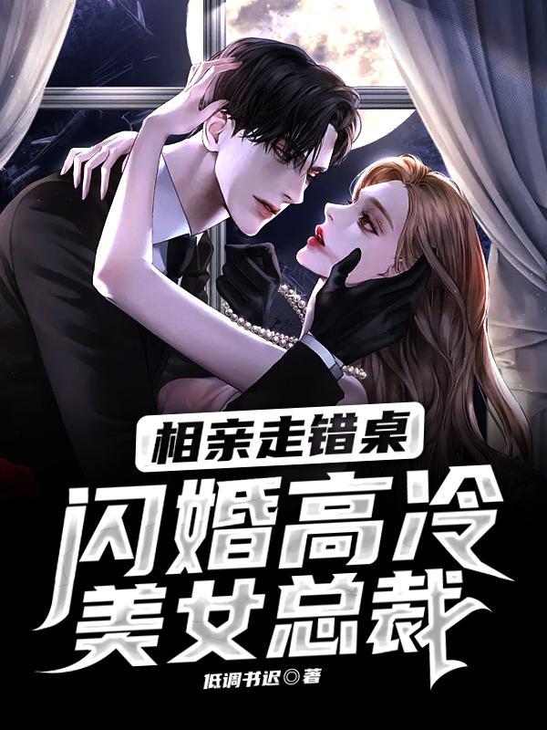 闪婚高冷美女总裁几女主