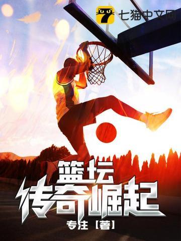 篮坛传奇崛起  笔趣阁