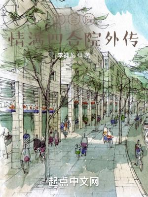 四合院情满四合院外传(李神龙)