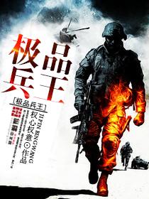 极品兵王苏灿笔趣阁