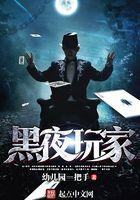 黑夜玩家全本TXT