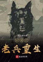 抗战之老兵重生起点中文网