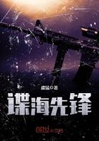 谍海风云海报