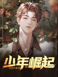 少年崛起的