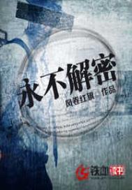 永不解密精校全本