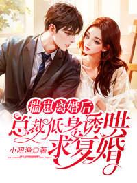 总裁低身诱哄求复婚林舒