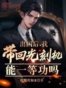 我带回光刻机能一等功吗 柠檬雪加冰