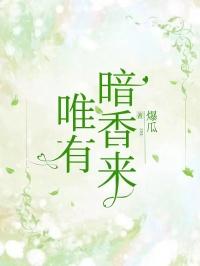 为有暗香来大结局