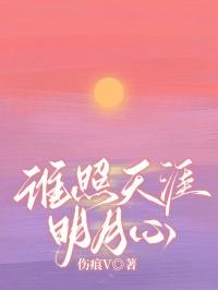 谁照天涯明月心林月瑶顾锦川
