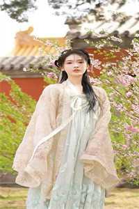 丈夫带回年轻保姆是什么电影