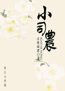 小司农全文