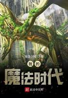 我的魔法时代sodu