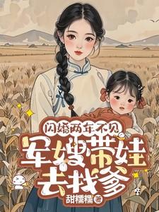 军嫂带娃去找爹txt