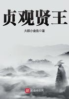 贞观贤王 第151章