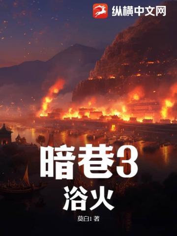 暗巷3浴火在线阅读