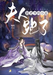 夫人跟老爷的小妾跑了txt微盘