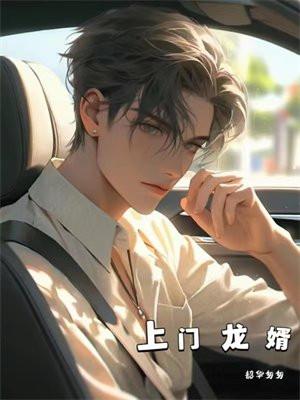 上门龙婿百度百科