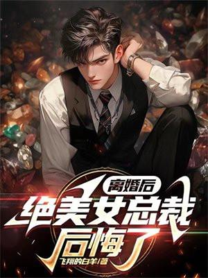 美女总裁求复婚