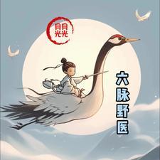 六脉什么意思