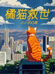 橘猫ssr