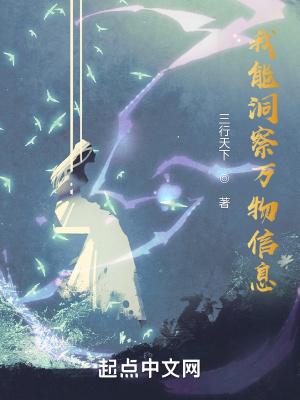 我能看到万物法则