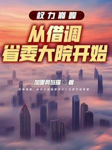 权力巅峰从借调省委大院开始笔趣阁